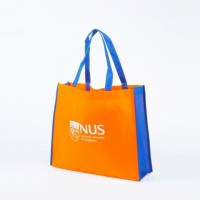 Tela Çanta Ultrasonik 40x50x10 Taban Körüklü 